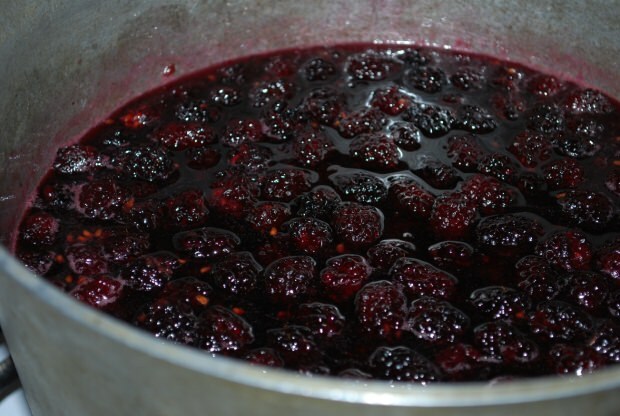 Resep selai blackberry buatan rumah yang praktis