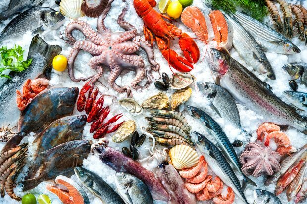 hati-hati dengan makanan laut dan makanan beku!