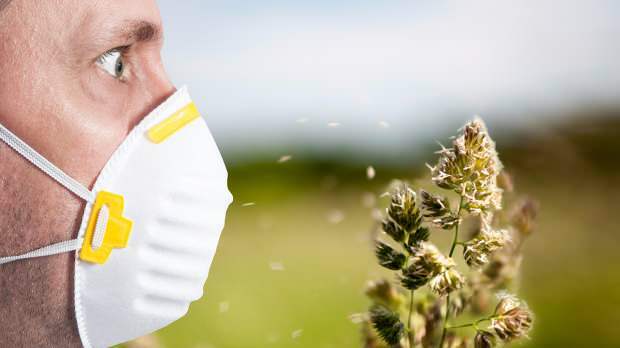 alergi musim semi disebabkan oleh serbuk sari, hewan peliharaan, peningkatan suhu dan debu