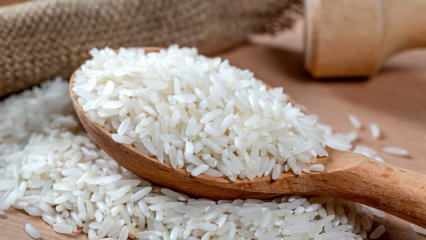 Haruskah beras disimpan di dalam air? Bisakah nasi dimasak tanpa menyimpan nasi di dalam air?