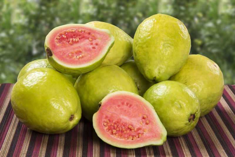 buah guavan lolos sebagai stroberi 