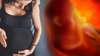 Bisakah Anda Menstruasi Saat Hamil? Penyebab dan jenis perdarahan selama kehamilan