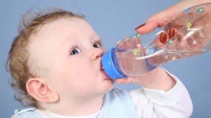 Haruskah bayi diberi air?