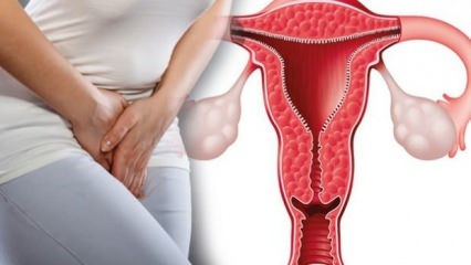 Apa penebalan dinding rahim? Berapa tebal dinding rahim selama kehamilan?