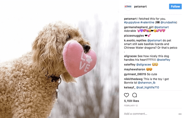 Saat PetSmart membagikan ulang foto pengguna di Instagram, mereka memberikan kredit foto ke poster asli dalam keterangannya.