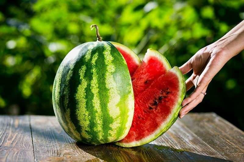 cara memilih semangka