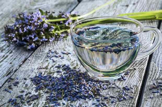 Apa manfaat lavender? Apa yang dilakukan teh lavender? Di mana minyak lavender digunakan?