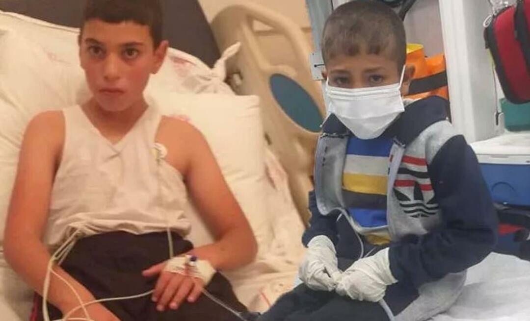 Anak dengan rabies dalam perawatan intensif! Bahadır Yenişehirlioğlu mengecam