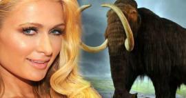 Paris Hilton menginvestasikan uangnya pada mammoth! 