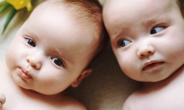Jika ada anak kembar dalam keluarga, akankah kemungkinan kehamilan kembar meningkat? Kuda generasi?