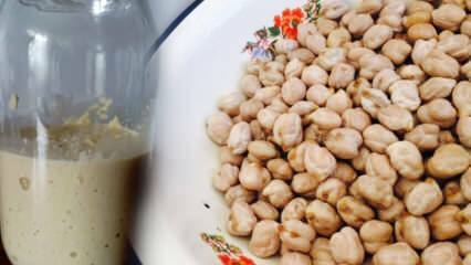 Apa itu ragi kacang dan bagaimana cara membuatnya? Apa manfaat ragi kacang arab?