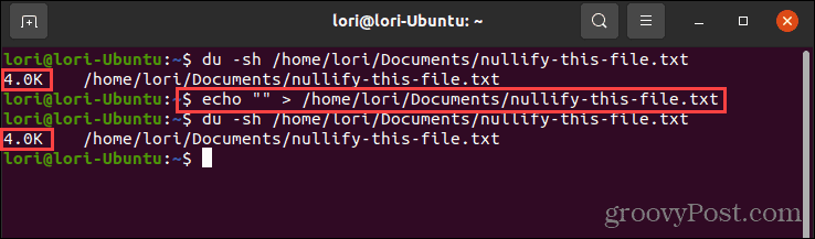 Menggunakan perintah echo dengan tanda kutip kosong di Linux