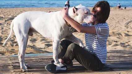 Aktris muda Alina Boz mengucapkan selamat tinggal pada anjingnya yang sudah mati! Siapakah Alina Boz?