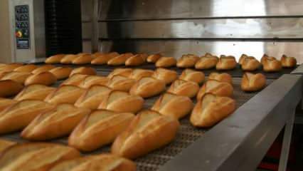Para ahli memperingatkan: Letakkan roti dalam oven 90 derajat selama 10 menit