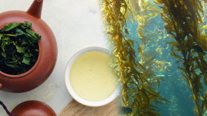 Apa manfaat lumut? Bagaimana cara membuat teh rumput laut dan apa manfaatnya?