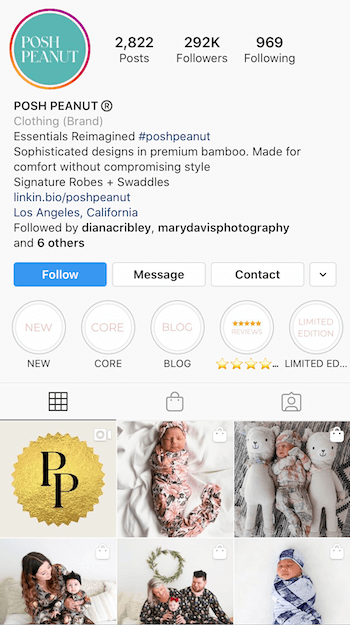 contoh bio Instagram yang dioptimalkan untuk bisnis