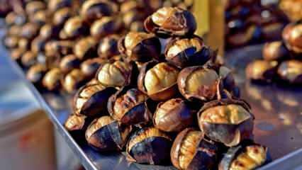 Jika Anda makan 5 buah chestnut setiap hari! Penyakit apa saja yang bermanfaat bagi chestnut? keracunan kastanye