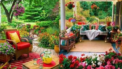 Bunga yang bisa Anda gunakan di taman dan balkon Anda di musim gugur!