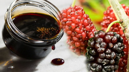 Apa manfaat mulberry hitam? Apa yang terjadi jika Anda merebus murbei hitam dan minum serbat setiap hari?