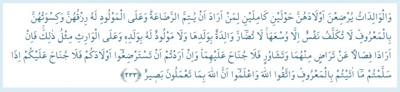 Ayat tentang ASI dalam Alquran! Waktu menyusui dalam Quran
