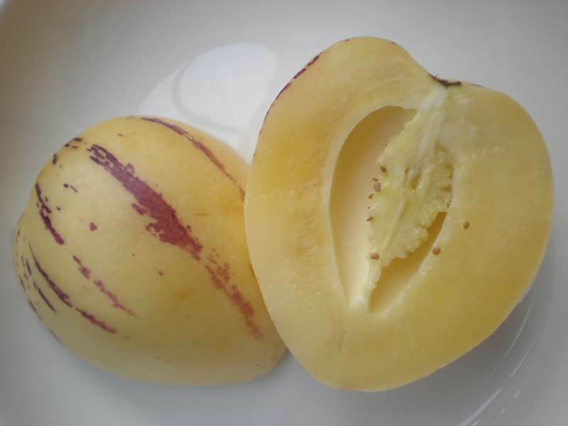buah pepino diiris seperti melon sebagai gambar