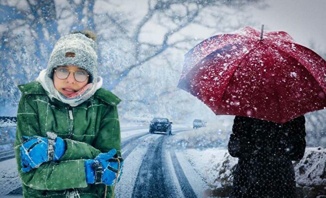 Apa itu musim dingin La Nina? Kapan musim dingin La Nina dimulai? Kapan akan turun salju?