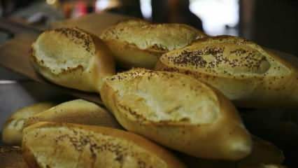 Bagaimana roti basi dievaluasi? Resep dibuat dengan roti basi