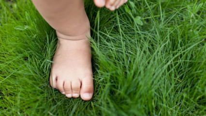 Bagaimana ukuran sepatu bayi dihitung? Bagaimana cara memilih sepatu pertama?