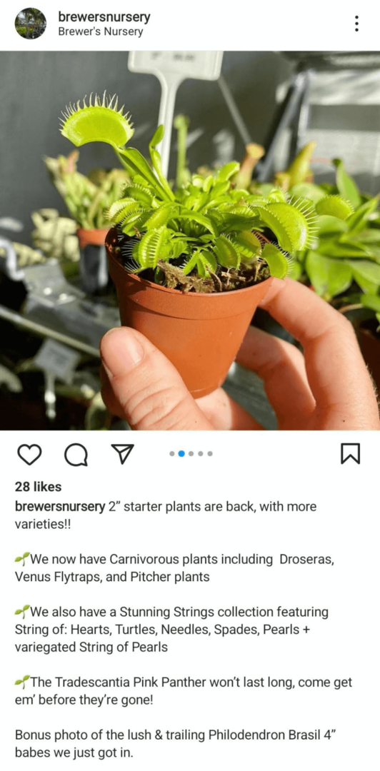 gambar posting feed Instagram yang menunjukkan produk