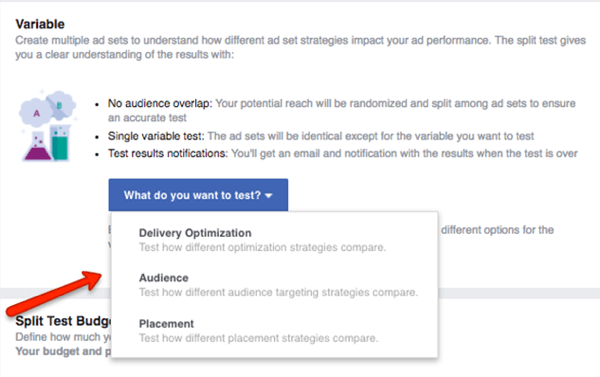 Pilih variabel yang akan diuji dalam kampanye Facebook Anda.