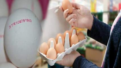 Bagaimana telur organik dipahami? Apa arti kode telur?