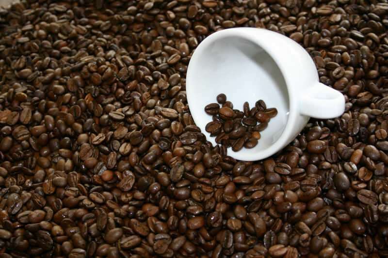 Dimana dapat membeli biji kopi berkualitas