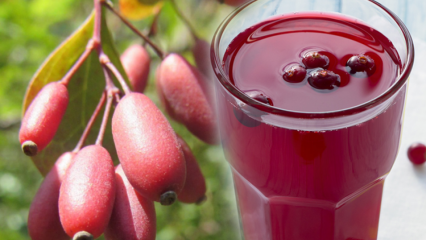 Apa manfaat dari tanaman barberry? Bagaimana cara membuat teh dari tanaman barberry?