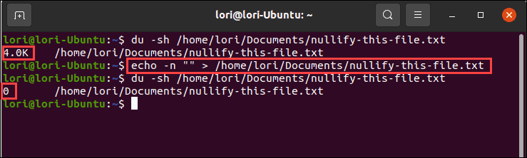 Menggunakan perintah echo dengan keluaran nol di Linux