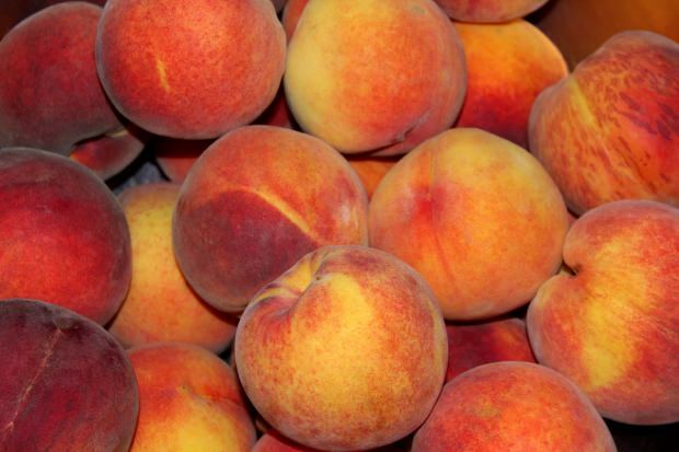 manfaat buah persik