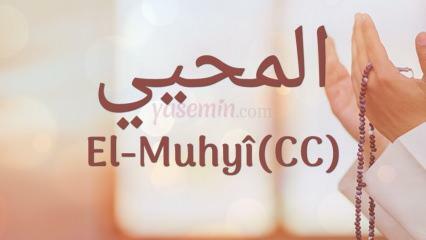 Apa yang dimaksud dengan al-muhyi (cc)? Dalam ayat manakah al-Muhyi disebutkan?