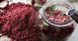 Untuk apa teh sumac dan apa manfaatnya? Saran teh sumac dari Canan Karatay