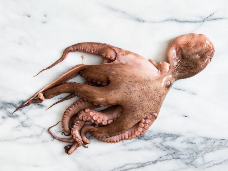 Bagaimana cara membersihkan dan memasak gurita di rumah? Teknik memasak gurita termudah