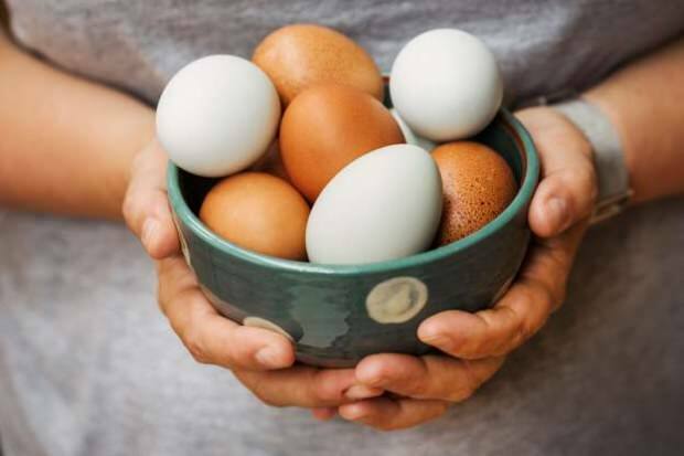Bagaimana analisis telur organik dilakukan?