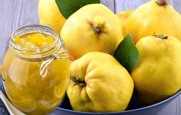 Campuran quince dan lemon