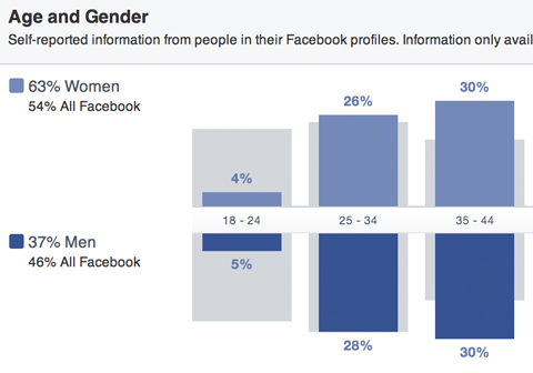 wawasan pemirsa facebook gender dan rincian usia