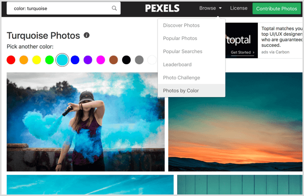 Pexels mengurutkan Foto berdasarkan Warna