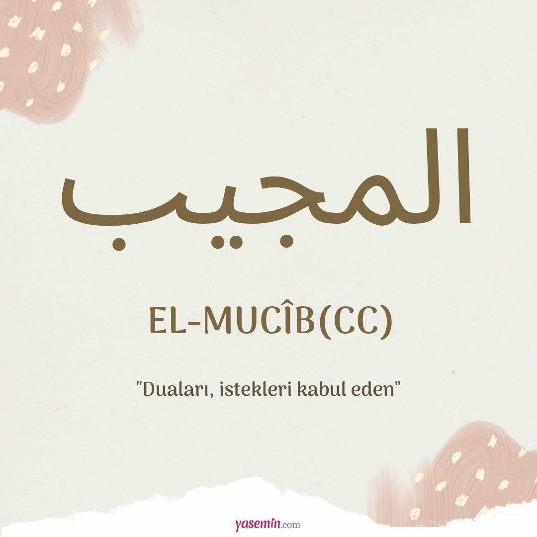 Apa yang dimaksud dengan al-Mujib (cc)?