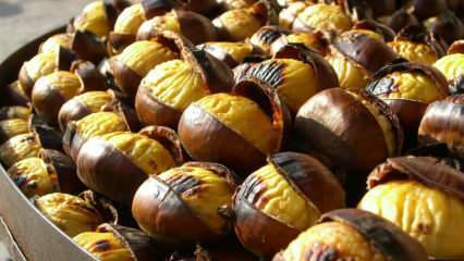Apa manfaat chestnut? Apakah Anda memiliki alergi kastanye? Berapa banyak kastanye untuk dimakan sehari
