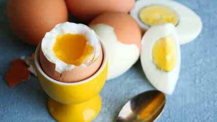 Apa efek makan 2 butir telur saat sahur setiap hari pada tubuh?