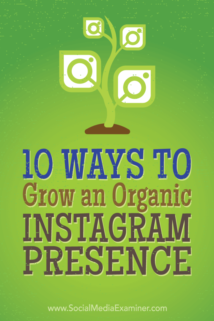 10 Cara Menumbuhkan Kehadiran Instagram Organik: Penguji Media Sosial