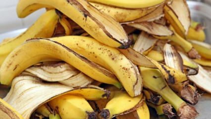 Apa manfaat pisang? Ada berapa jenis pisang di sana? Penggunaan kulit pisang tidak diketahui! 