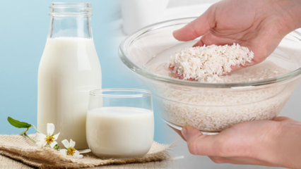 Bagaimana cara menyiapkan susu beras pembakar lemak? Metode pelangsingan dengan susu beras