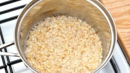 Bagaimana cara melakukan diet barley?