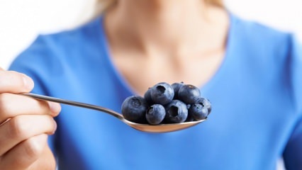 Bagaimana cara memahami blueberry asli?